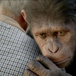 Foto Planeta dos Macacos - A Origem
