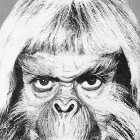 Foto A Batalha do Planeta dos Macacos