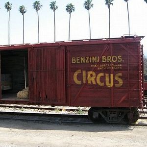 Foto Água para Elefantes