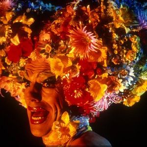 Foto Priscilla, a Rainha do Deserto