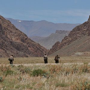 Foto Caminho da Liberdade