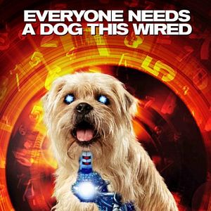 Foto Pequenos Espiões 4