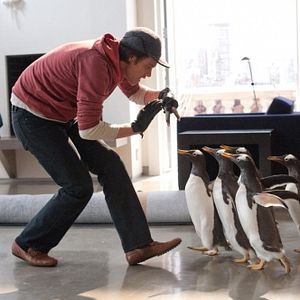 Foto Os Pinguins do Papai
