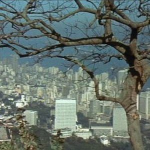 Foto Operação Dragão