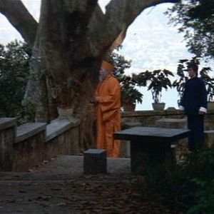 Foto Operação Dragão