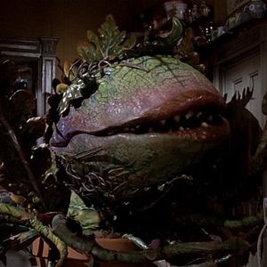 Foto A Pequena Loja dos Horrores