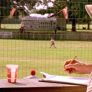 Foto Meu Cachorro Skip