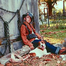 Foto Meu Cachorro Skip