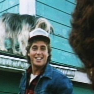 Foto O Incrível Robô