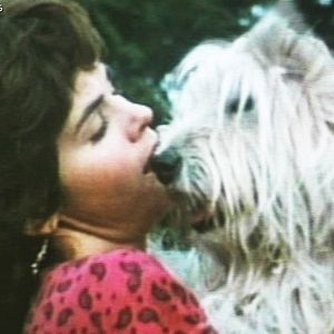 Foto O Incrível Robô