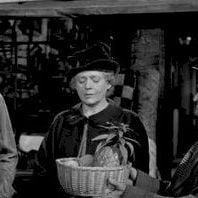 Foto Apenas um Coração Solitário