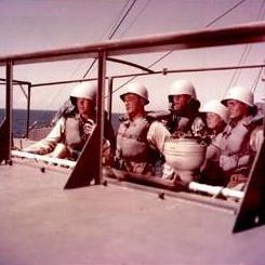 Foto A Raposa do Mar