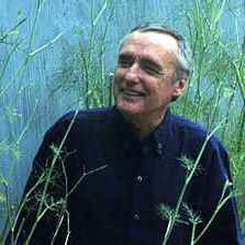 Foto Dennis Hopper