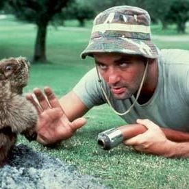 Foto Bill Murray