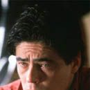 Foto Benicio Del Toro