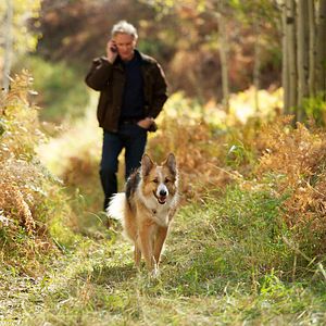 Foto Querido Companheiro