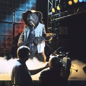 Foto Beary e os Ursos Caipiras