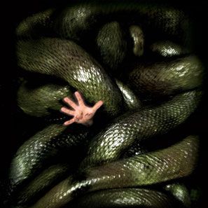 Foto Anaconda 2 - A Caçada pela Orquídea Sangrenta