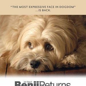 Foto Benji - Um Amigo Especial