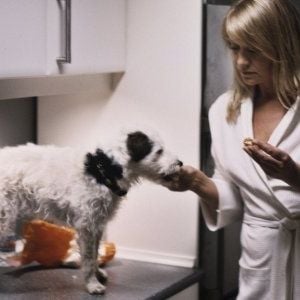 Foto Além do Desejo