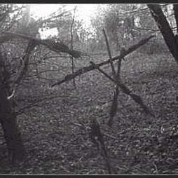 Foto A Bruxa de Blair