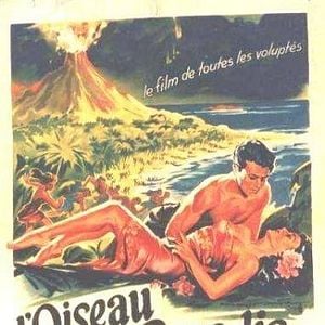 Foto Ave do Paraíso