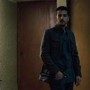 Foto O Búfalo da Noite