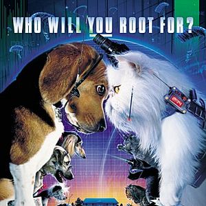 Foto Como Cães e Gatos