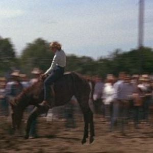 Foto Corra Que a Polícia Vem Aí!