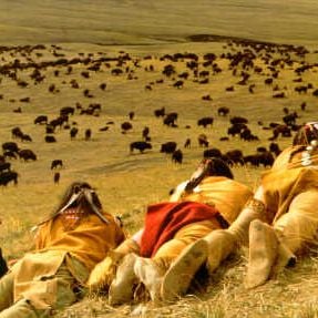 Foto Dança com Lobos