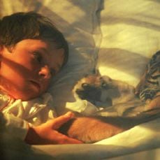 Foto Era Uma Vez Dois Irmãos