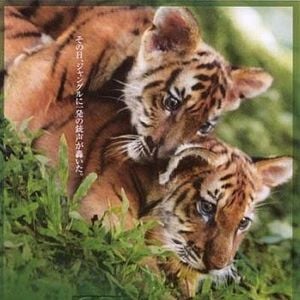 Foto Era Uma Vez Dois Irmãos