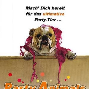 Foto O Dono da Festa