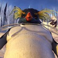 Foto Happy Feet - O Pinguim