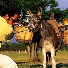 Foto Fábio Fabuloso