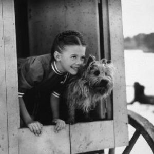 Foto O Fantasma Apaixonado