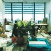 Foto Feed - Fome Assassina