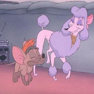 Foto Oliver e Seus Companheiros