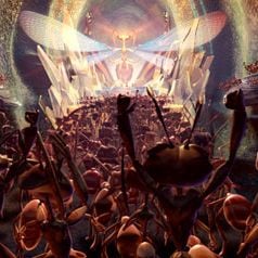 Foto Lucas, um Intruso no Formigueiro