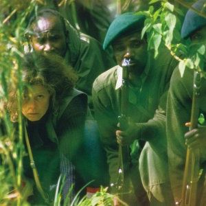 Foto Nas Montanhas dos Gorilas