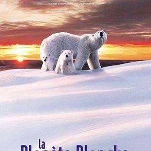 Foto O Planeta Branco