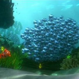 Foto Procurando Nemo