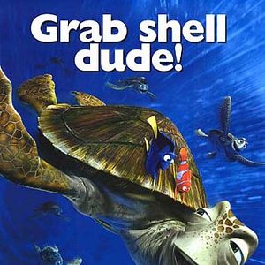 Foto Procurando Nemo