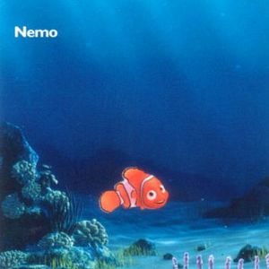Foto Procurando Nemo