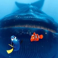 Foto Procurando Nemo