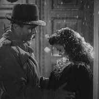 Foto Sangue de Pantera