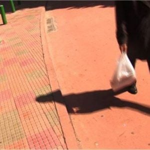 Foto Otávio e as Letras