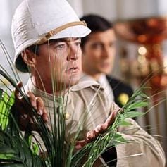 Foto Um Toque de Rosa