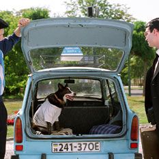 Foto Uma Vida Iluminada