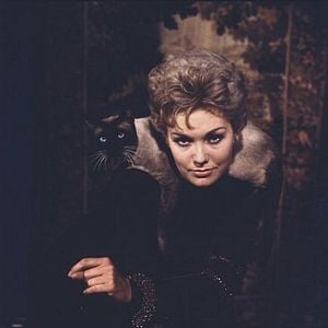 Foto Sortilégio de Amor